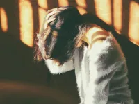 Spousal Abuse – Woman Drugged & Raped by Her Husband winston-solicitors-cica-abuse-and-assault-spousal-abuse.jpg