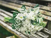 How Do I Claim Back Care Home Fees for a Relative Who Has Died?  winston-solicitors-chc-solicitor.jpg